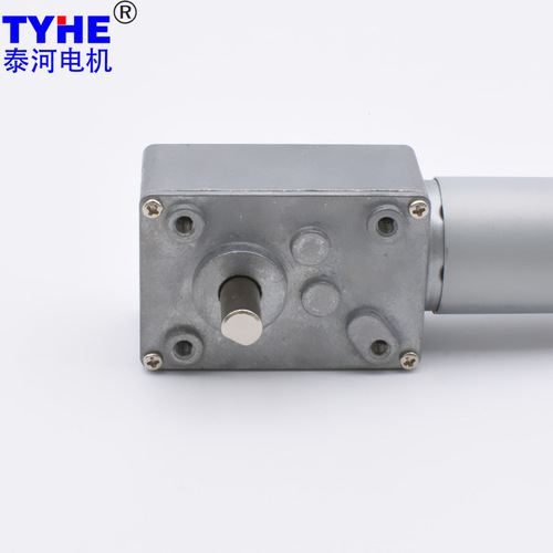 Worm Gear DC Reducer Motor 12V/24V High Torque Low Speed Speed Regulating Motor Mini Forward and Reverse Slow Speed Self-Locking