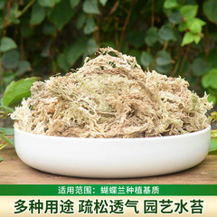 水のコケの青苔の胡蝶の蘭の石のgokの蘭の専用の栄養の土のカメはかわいがります造景のマットの現物を登って卸売りします。