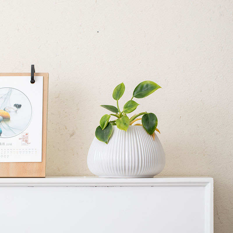 白色条纹束口主图02