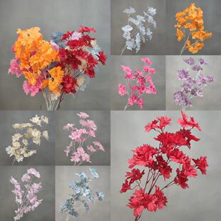 ��픷��滨ѩ�q���hѩ��Y�Ƶ��b�����ʹ�ѻ����滨���l