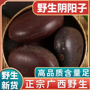 ���u��ƷҰ��������؛500g����ľ�����p�I���I�䌚�����ݾ�