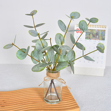 ���滨����ֲ��Ҿ��b��X�~�ȼ����~�ٻ� �٘��~ �Gֲ���Բ廨