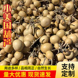 小美国葫芦通货（不抽不裂无独把） 天然葫芦龙头随机发货4-6厘米