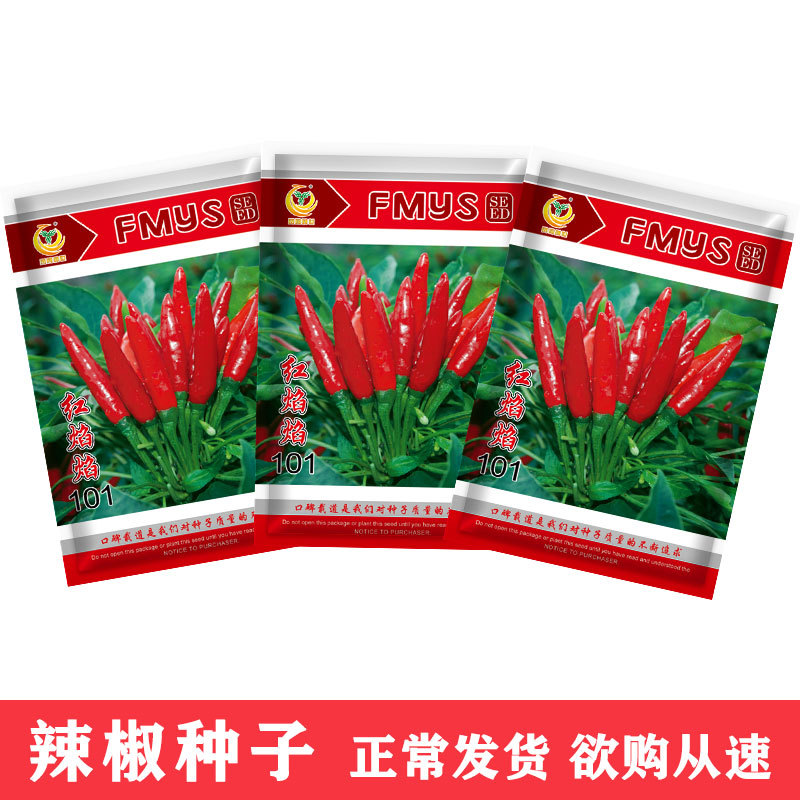 凤鸣雅世 红焰焰朝天椒种子5克约400粒 四季农家蔬菜种子种孑批发|ms
