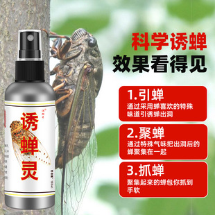 ��ϡ��T�s�`���l���x�T�s��׽���T���s�ߝ�ȇ��F���Ⲷ׽֪��