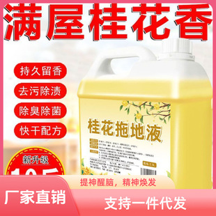 One-Piece Drop-Shipping Osmanthus Floor Cleaner Osmanthus Room Fragrance Floor Cleaner Cleaning Liquid Toilet Hotel Hotel Cleaning Liquid