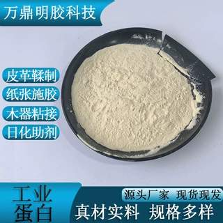 工业蛋白粉原粉可定制现货涂料助剂皮革填充动物蛋白