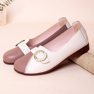 ��22C037��2023�ļ��¿�r�Ћ���Ьƽ�ך��|�\�چ�Ь�͹����eЬŮ