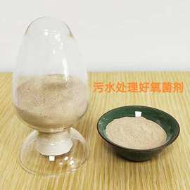 好氧菌剂 污水处理 降氨氮COD好氧菌剂