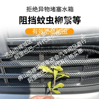 Special Modified Decorative Strip Auto — Automobile anti-insect net