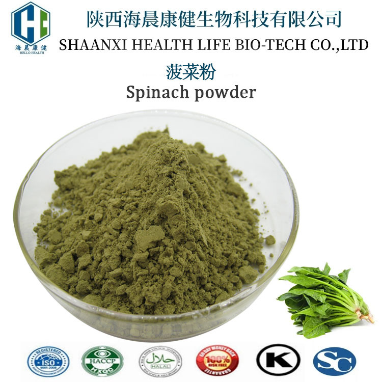 菠菜粉 食品级上色原料菠菜汁粉水溶性水果粉蔬菜粉批发海晨康健