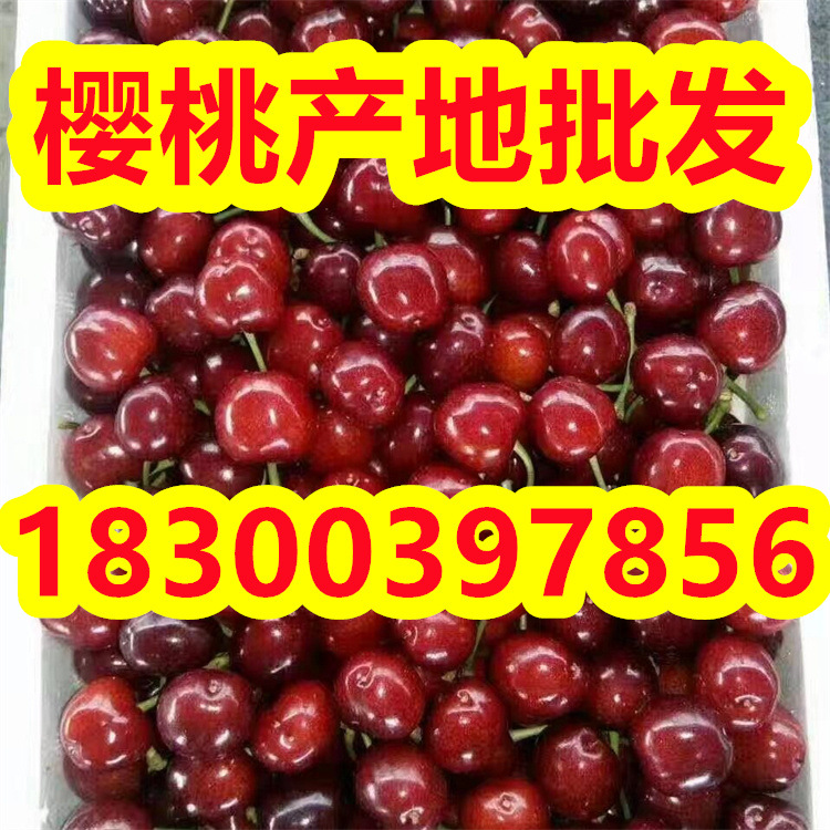 62c6f53680ecc36b6095fe78b8a1fd