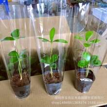 ī�����F��U�����泬���������҃ȾGֲ�͏d�����辰�ļ����Bֲ��