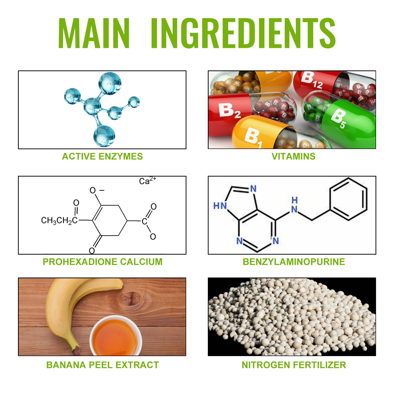 Concentrated Nutrient Solution