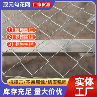 Galvanized Iron Wire Mesh, Steel Wire Mesh, Outdoor Fence Netting, Household Livestock (Cow and Sheep) and Chicken Netting, Garden Chain Link Fence, Durable