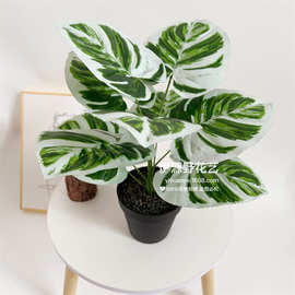 跨境 新品仿真植物9头白油画竹芋 假花盆栽落地植物家居室内摆件