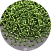 True color silver 55A military green