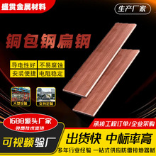 60*8铜包钢扁钢镀铜防雷接地导线水平接地线铜覆钢接地扁排厂家