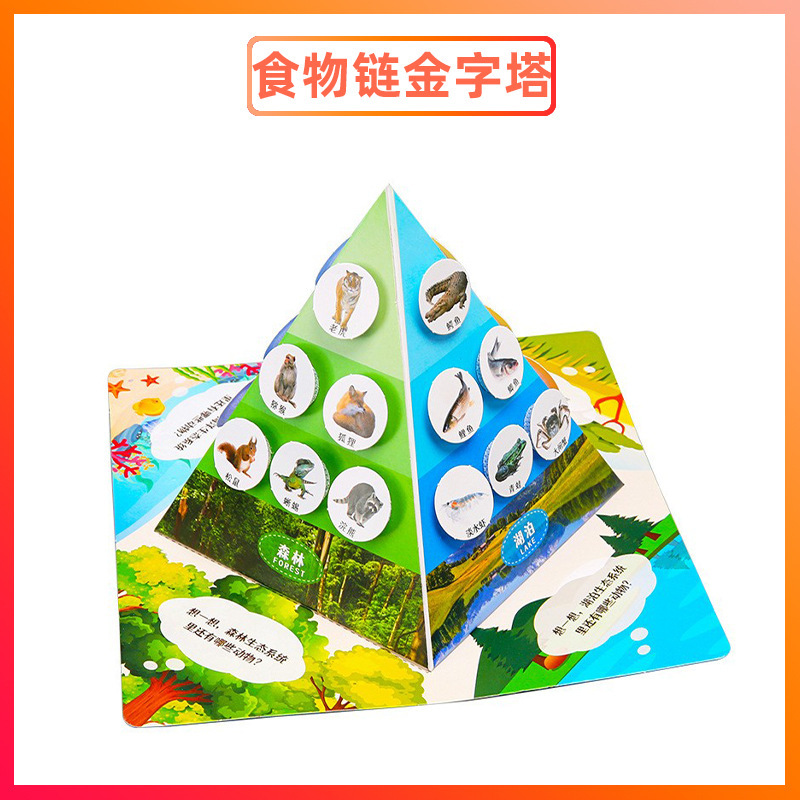 科学実験セット機器子供教育技術少量生産物理学発明DIY手作り材料小学生向け|undefined