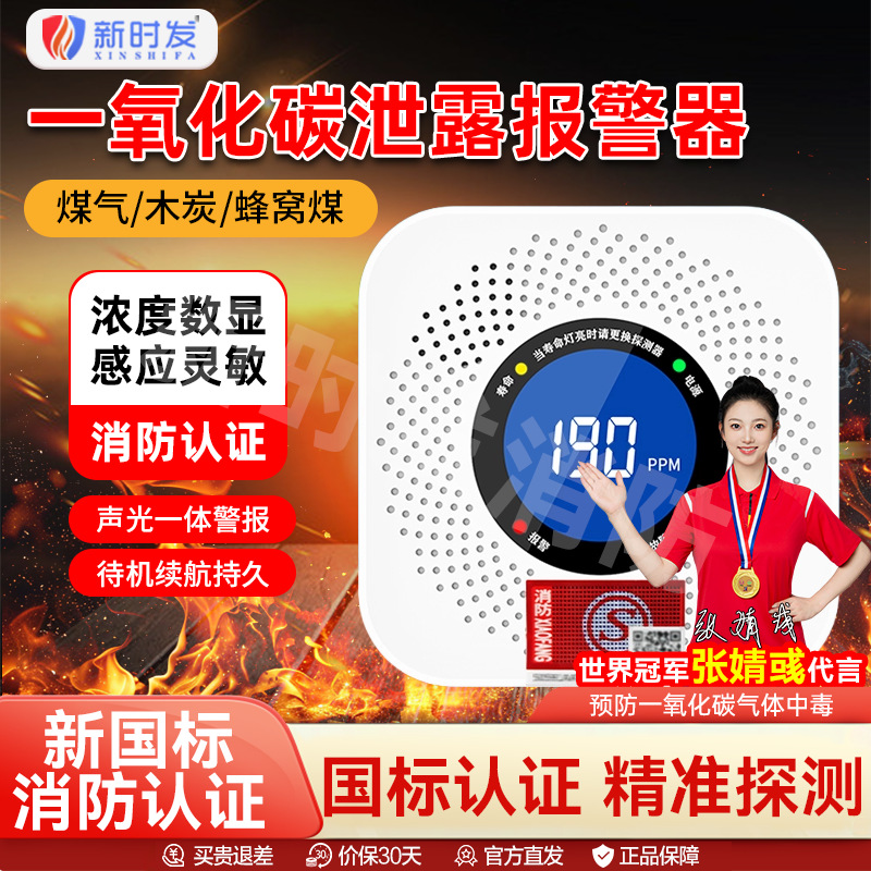 一氧化碳报警器家用室内电池款蜂窝煤烟煤炉气体煤气泄漏co检测