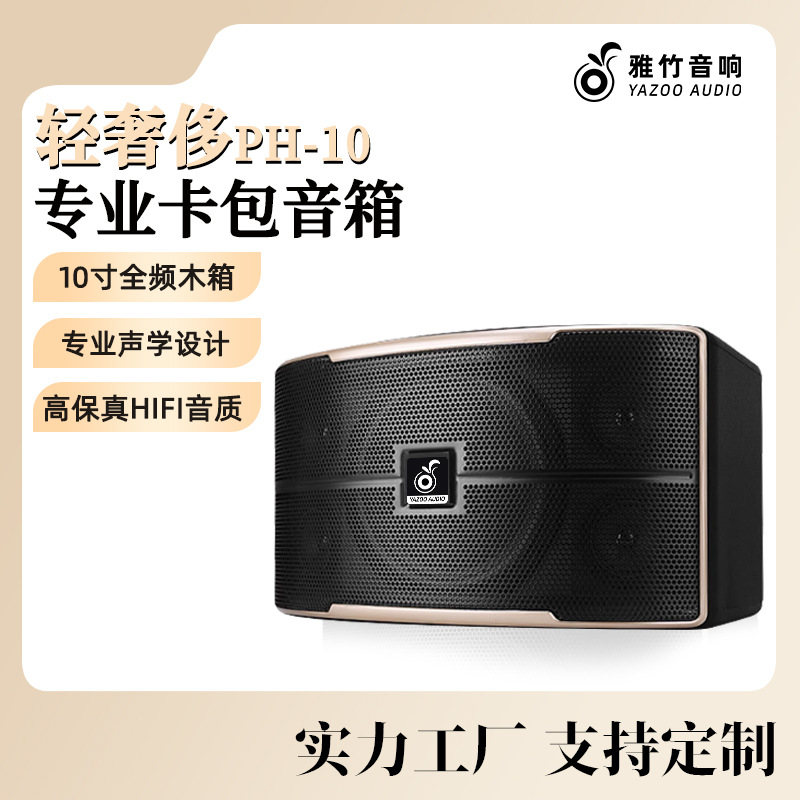 Venta al por mayor personalizado solo 10 pulgadas titular de la tarjeta profesional altavoz al aire libre karaoke transmisión en vivo hogar sala de estar familia KTV audio traje