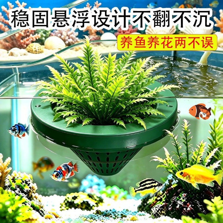 免固定自动漂浮水培定植篮鱼植共生水上绿植绿萝水草漂浮种植盆