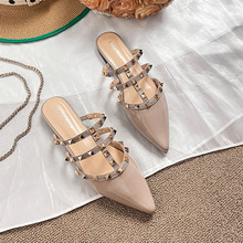 2025�¿�ƽ����Ƥ���^��ᔴָ����^���ϛ�Ь�W�t����һ�_�ś���