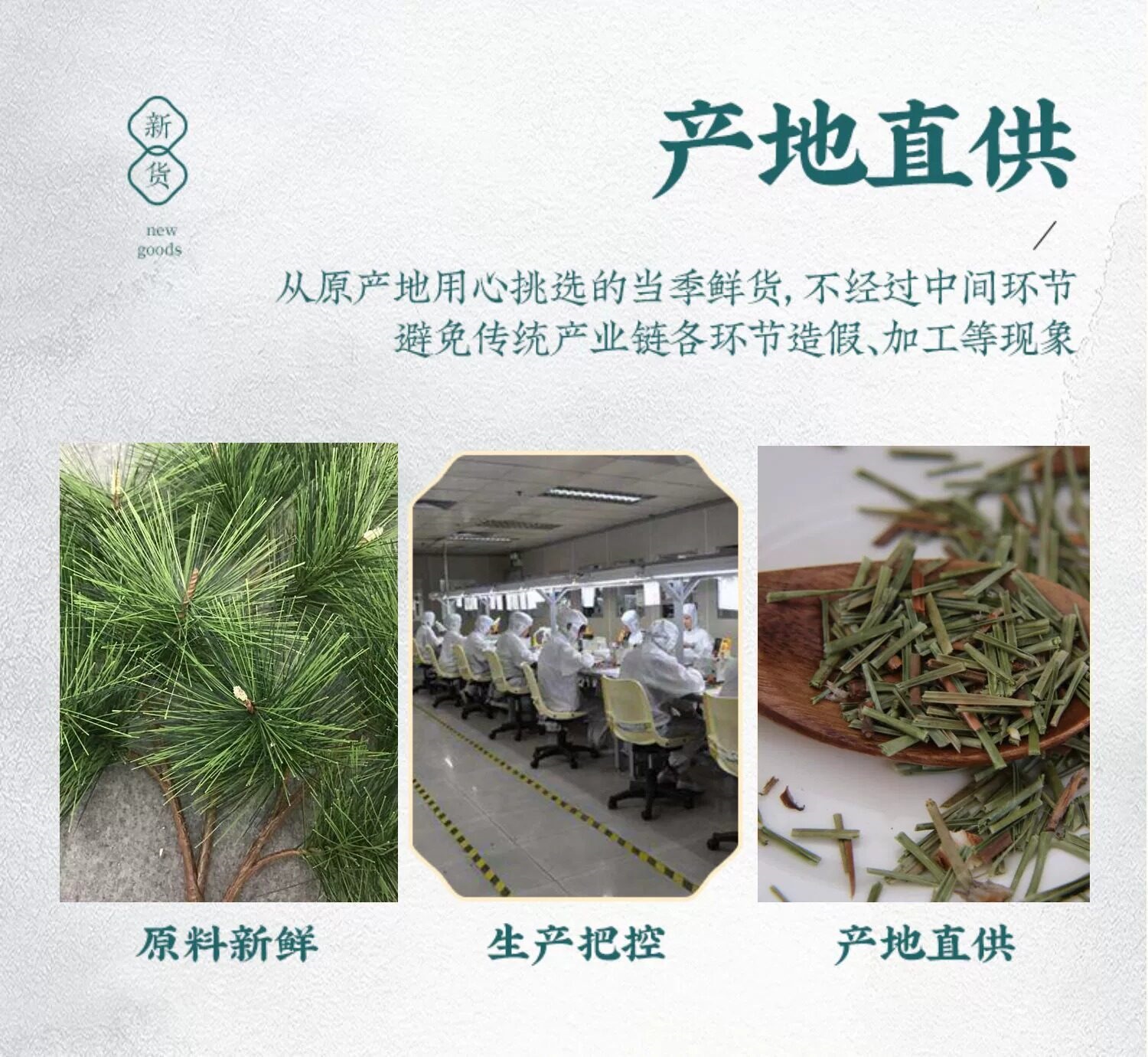 Pine Needle Tea Song Zhen 500g Wild Dried Masson Pine Leaves Herbal Infusion from Changbai Mountain in use