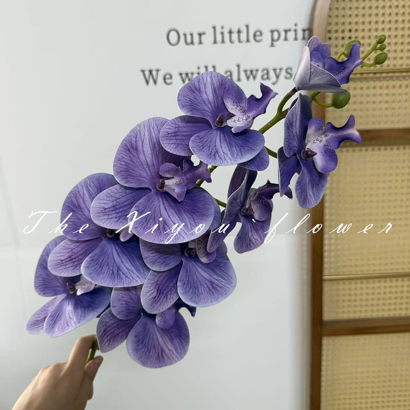 3D 호접란 - 연보라