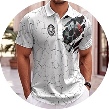 ���R�d�W��3D���aӡ�������羳�ļ�����polo��2024���¿�ӆ؛��ͨ