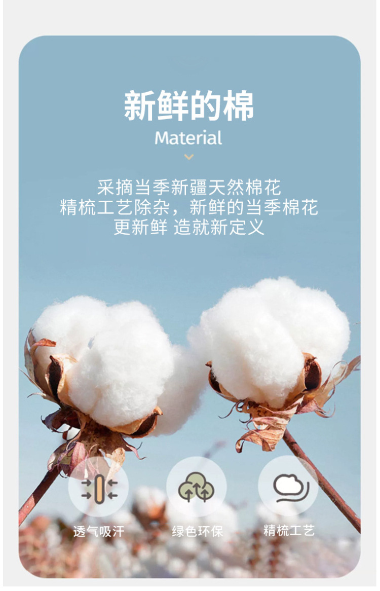 一键复制_20240512112257