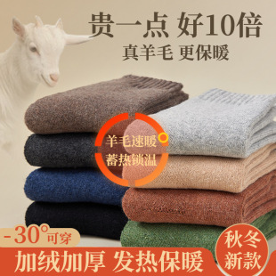 ��Ͳ�m�����ﶬ�ӽq�Ӻ�ëȦ�o���m������ʿ���챣ůë������ë�m