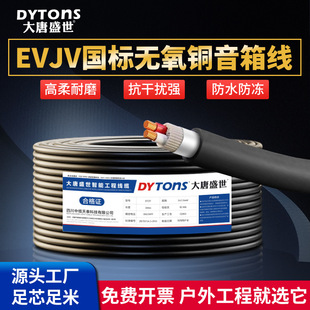 National Standard Pure Copper Shielded Speaker Cable Stage Evjv2/4 Core Audio Cable Engineering Broadcast Audio Cable Double Shielded