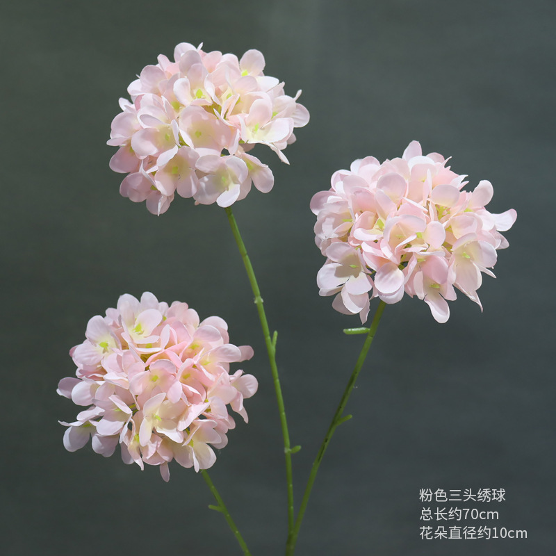 Hortensia rosa de tres cabezas