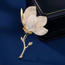 �йŃ��Ű����m����������w����ᘄe��¿�ػ����b�ٴ����