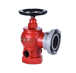 �a������ ���D�p�������;��P�҃�����˨SNZW65-III-Y