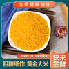 Northeast specialty Golden Rice 500g rice Corn Grain Coarse Cereals Coarse grains Embryo rice Cereals food On behalf of