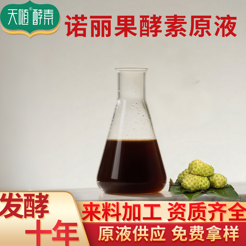 诺丽果发酵原液 食品级台湾酵素发酵原液供应果蔬原液诺丽果酵素