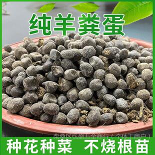 ��S�l���ЙC�ʼ���S���w����S���߲˻��ܹ����̨�����¼�����