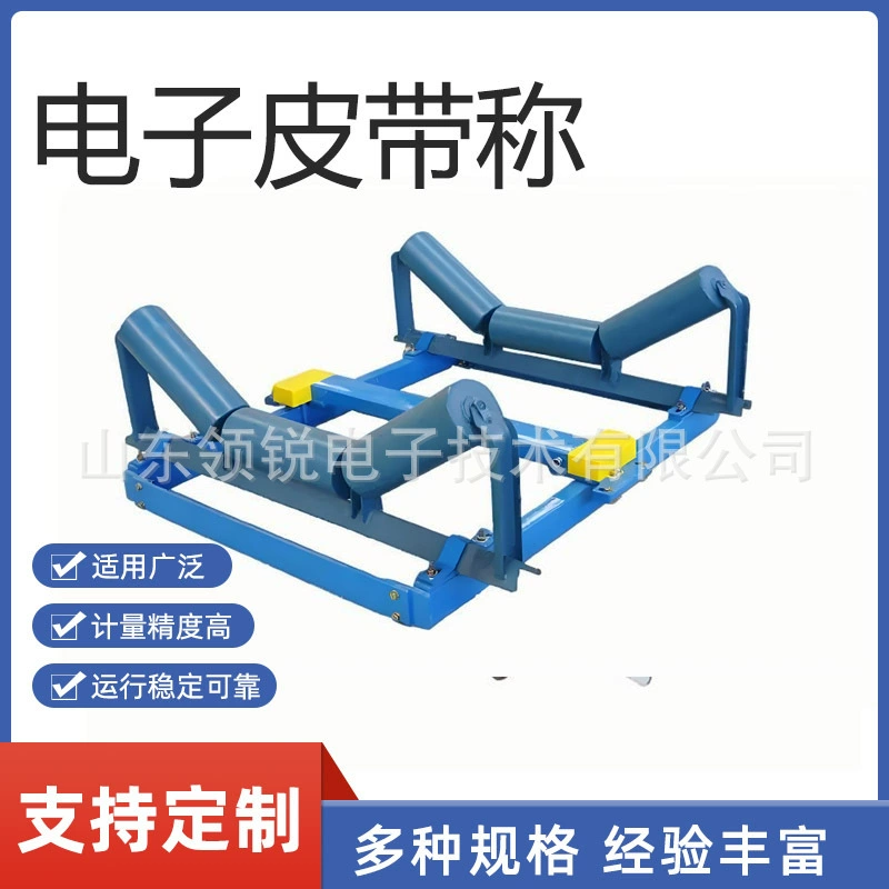 Производители поставляют высокоточные цифровые ленточные весы, цифровые ленточные весы, высокоточные дозирующие машины, количественные питатели для переработки минералов.