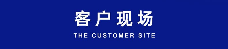 全自动蒸汽清洗机