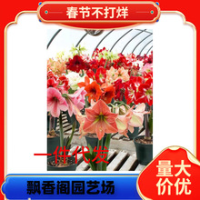 �M���ش���피t�ذ�N���ļ��_��ͥԺ�̨���Դ�ȫ�B����