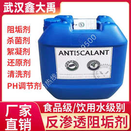 反渗透阻垢剂蓝旗RO膜专业除垢纯净水处理还原剂设备机浓缩25KG