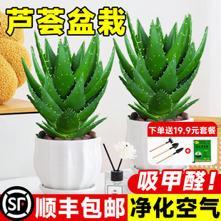 �J�C�����҃ȳ���ȩ�����՚⻨�ܾGֲ���������ƶ���ֲ���ļ����B