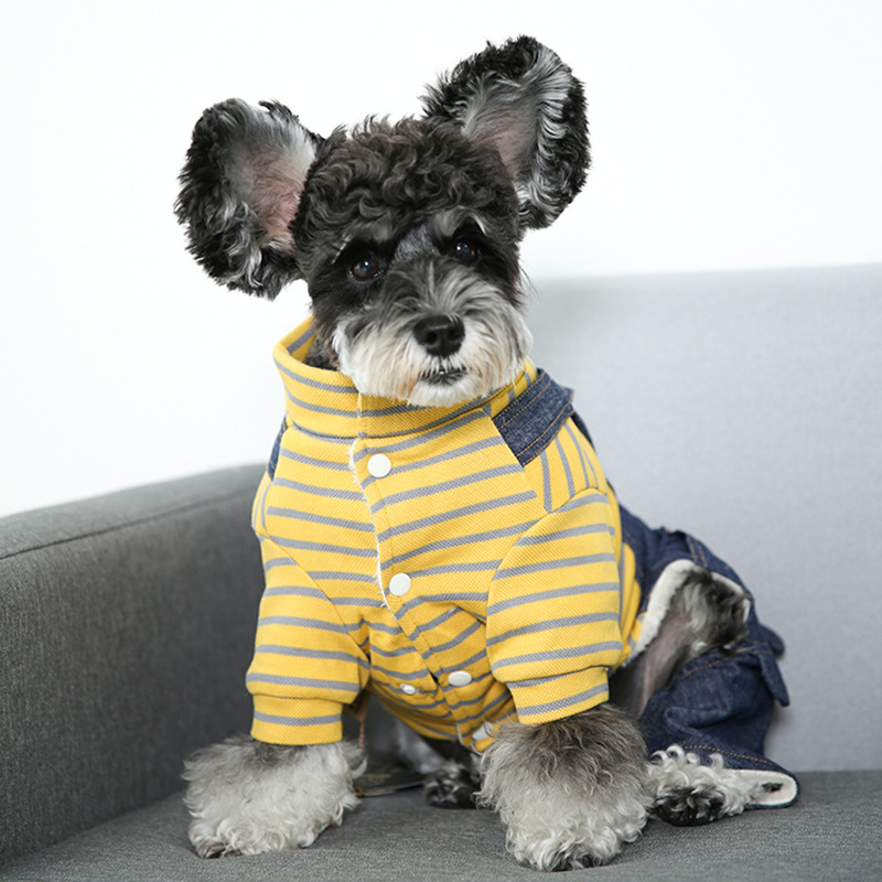 2021吉米娃娃狗狗衣服冬裝泰迪冬天寵物衣服時尚秋款小型犬比熊