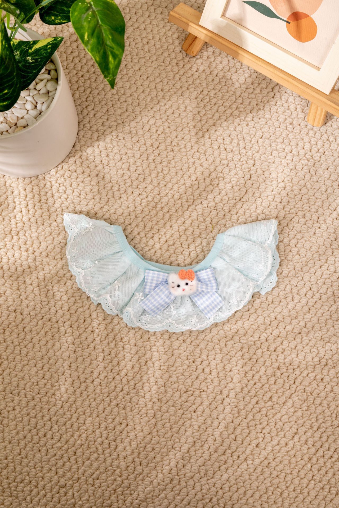 작은 고양이 머리