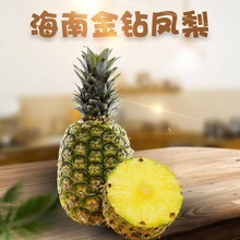 正宗海南金钻凤梨热季水果新鲜脆甜多汁无眼菠萝应季水果一件代发