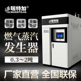 天然气蒸汽锅炉1/1.5吨大型工业食品厂酿酒制药厂燃气发生器节能