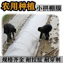 小拱棚专用膜塑料布塑料膜透明塑料薄膜塑料纸透明膜膜保温