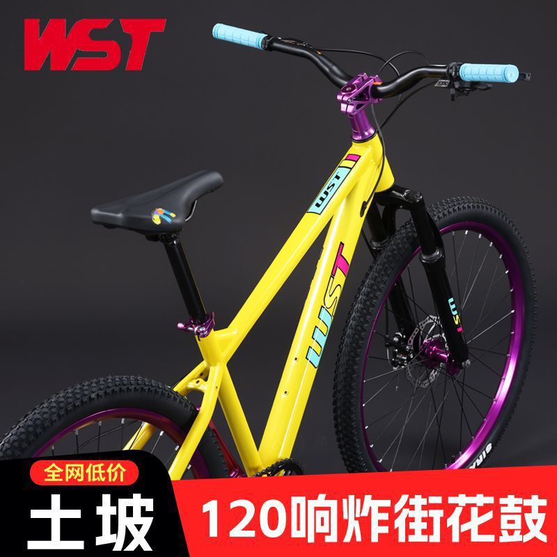 Mountain Bikes Can Be Used as Professional Action Dual-Disc Brake Variable-Speed Adult Men's and Women's Mobility Bicycles for Off-Road Racing